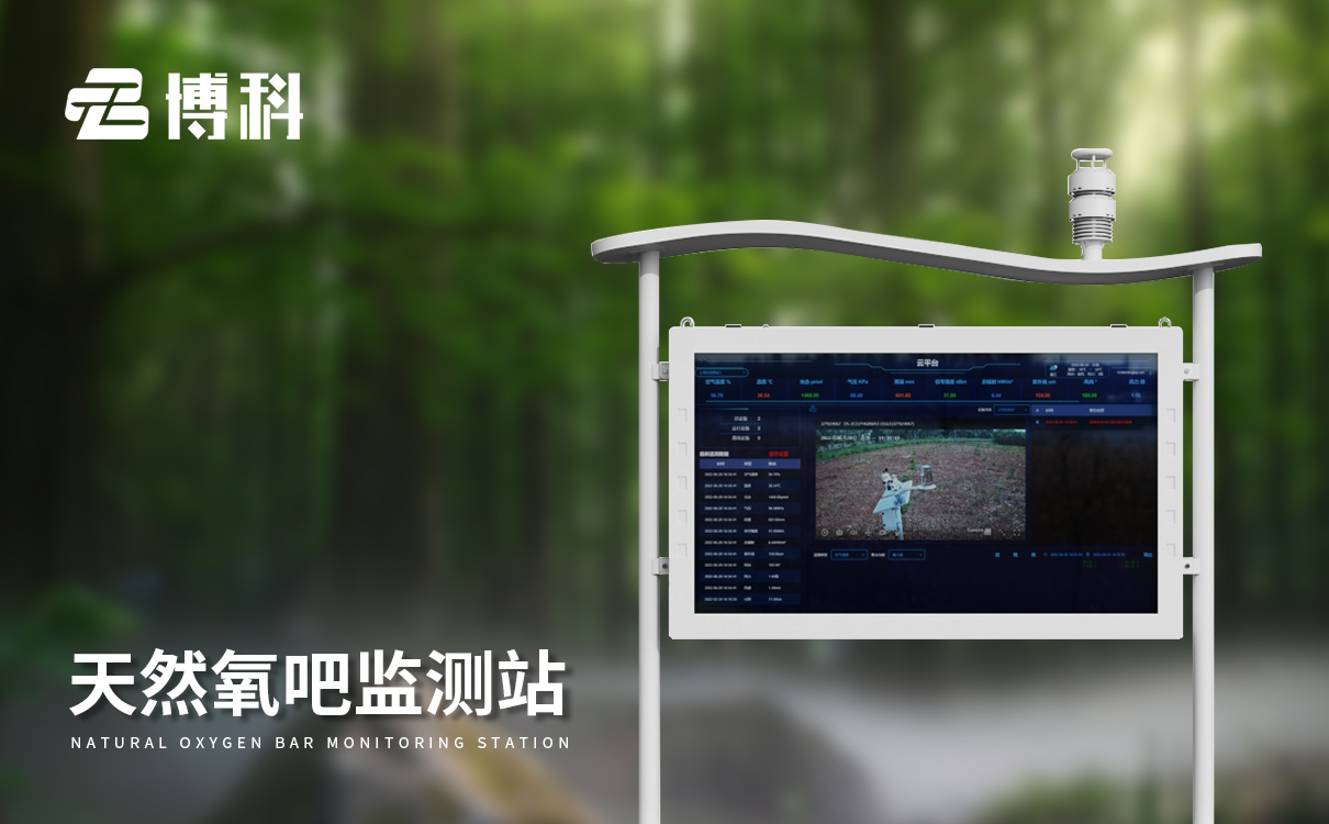 大氣負氧離子監(jiān)測系統(tǒng)報價多少?一文詳解