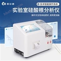 HD-GSG實(shí)驗(yàn)室硅酸根分析儀