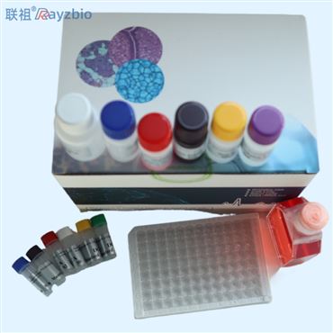 50T人鼻病毒通用PCR檢測試劑盒說明書