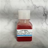 5％兔紅細(xì)胞懸液