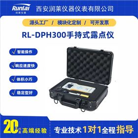 RL-DPH300型手持式露点仪