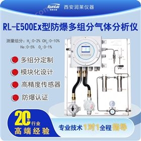 RL-E500Ex型壁挂式隔爆多组分气体分析仪