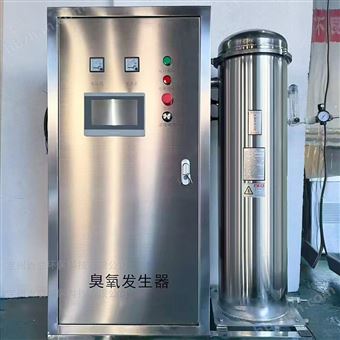 大臭氧发生器