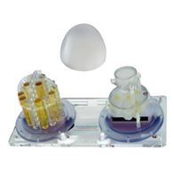 核磁共振乳腺成像模体