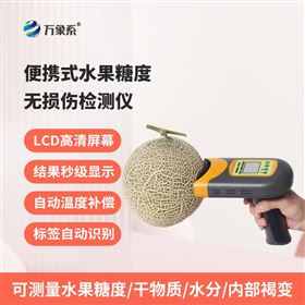 便携式水果无损糖度计