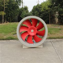 天宏SWF-III-6.5型管道式玻璃鋼混流風(fēng)機(jī)