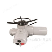 DZT10/DZT20/DZT30/DZ智能型電動(dòng)裝置DZT10/DZT20/DZT30/DZT45/DZT60/DZT90/