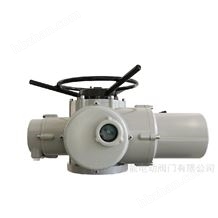 DZB30/DZB45/DZB60隔爆電動(dòng)裝置