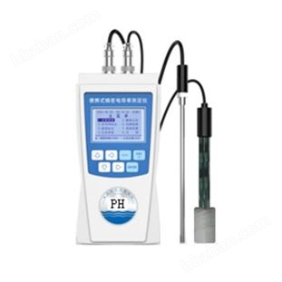 便攜式酸度計(jì)（中西器材）庫(kù)號(hào)：M411858