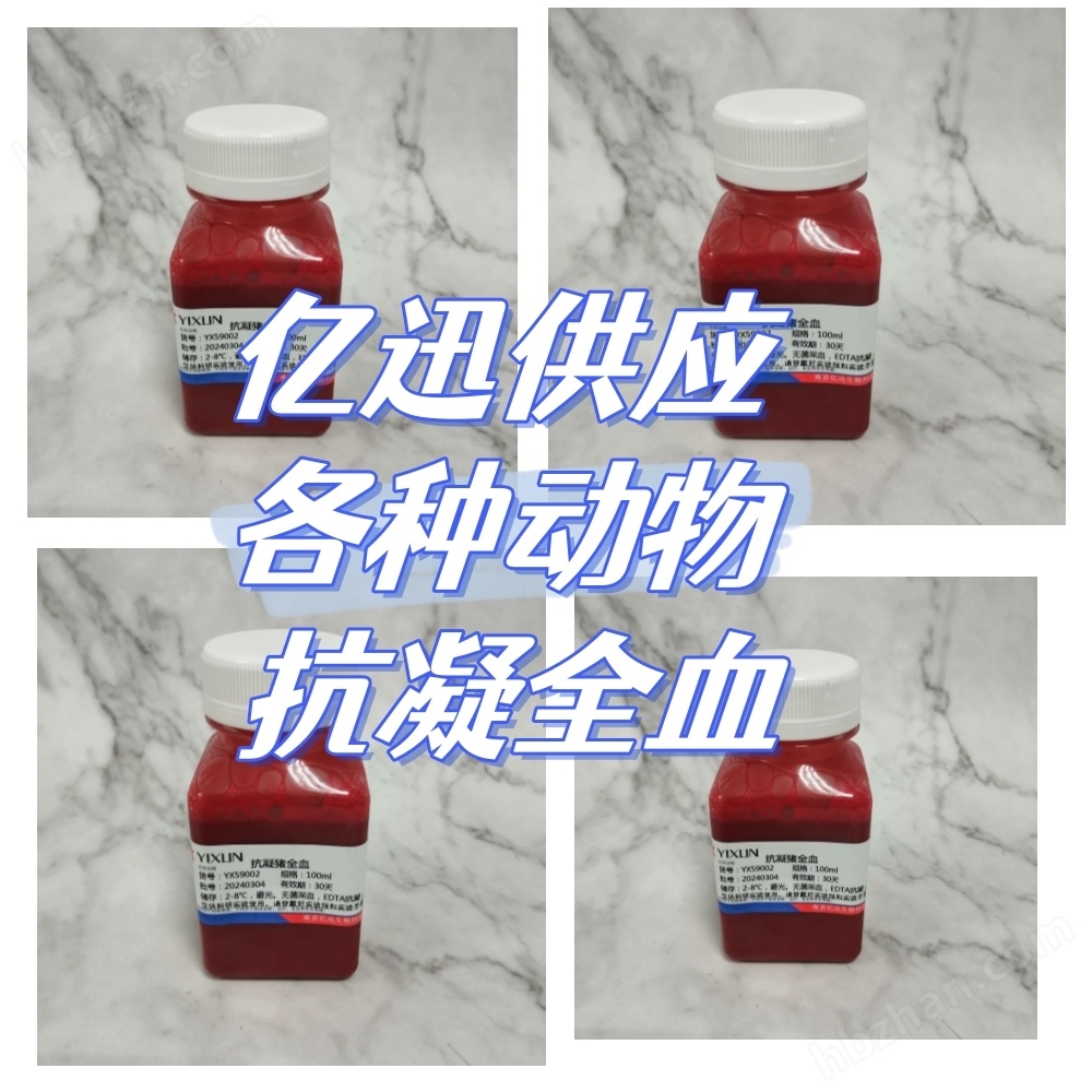 EDTA抗凝集綿羊血