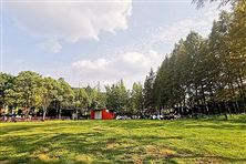 邵陽(yáng)市人民政府關(guān)于印發(fā)《邵陽(yáng)市碳達(dá)峰實(shí)施方案》的通知！