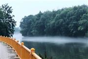 創(chuàng)歷史同期新高！浙江省半年度水利投資420億元 幸福河湖建設(shè)成效顯著