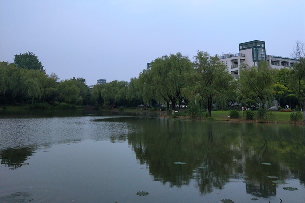 湖南龍山縣生活垃圾填埋場地下水污染防治項目即將招標