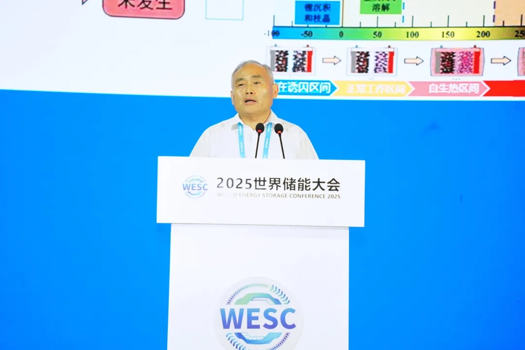 2025WESC|“儲能前沿技術與安全”主題論壇在福建寧德成功舉行