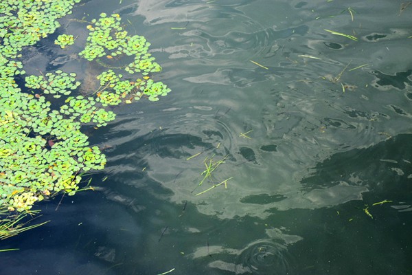 現(xiàn)代污水處理廠智能控制介紹！