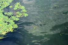 現(xiàn)代污水處理廠智能控制介紹！