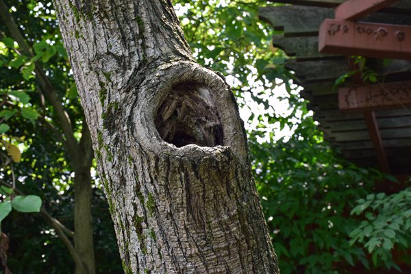 廣業(yè)檢測集團(tuán)主導(dǎo)編制的廣東省地方標(biāo)準(zhǔn)《碳達(dá)峰碳中和培訓(xùn)管理規(guī)范》成功發(fā)布