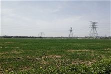 長三角地區(qū)首份涵蓋“范圍四”核算的國企“雙碳”報告出爐