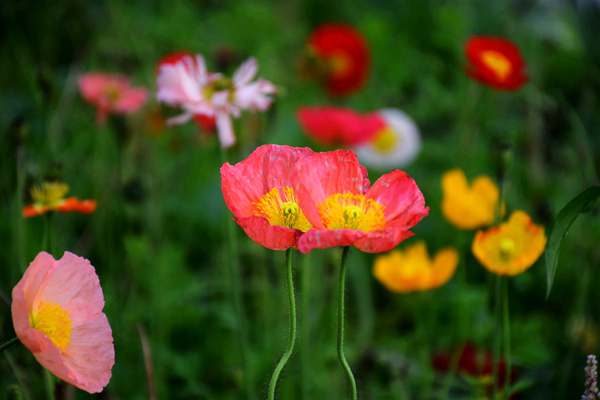 《2025年國(guó)民經(jīng)濟(jì)和社會(huì)發(fā)展統(tǒng)計(jì)公報(bào)》出爐 綠色低碳轉(zhuǎn)型成效突出
