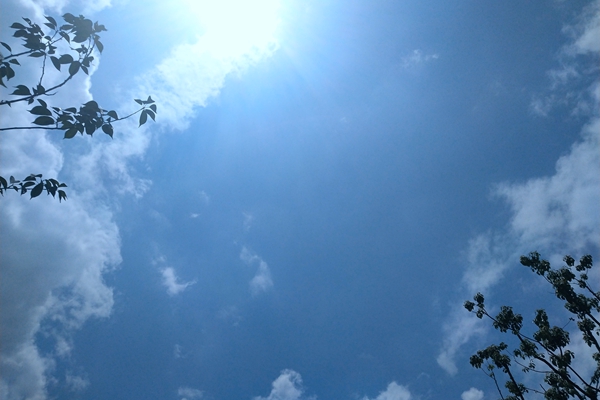 3797萬！京源環(huán)保預中標涿州熱電脫硫廢水零排放系統(tǒng)EPC總承包