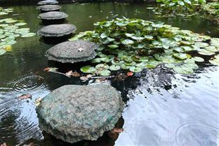 四川首个减污降碳协同规范印发实施