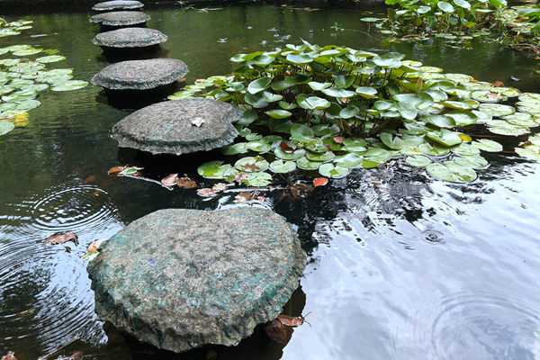 13項國家生態(tài)環(huán)境標(biāo)準(zhǔn)公開征求意見