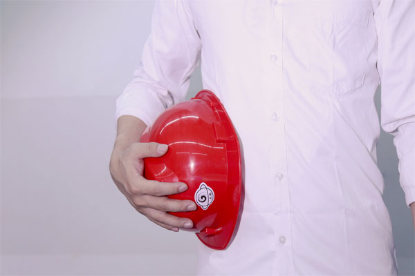 湖北省大悟县生活垃圾焚烧发电厂提标改造项目EPC将招标