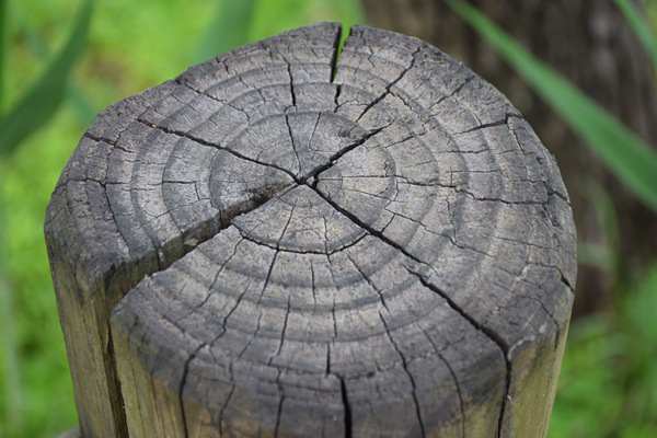 五问读懂《加力推进石化化工行业老旧装置更新改造行动方案(2026—2029年)》