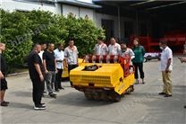 山東大蒜播種機(jī)批發(fā)