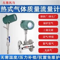 不銹鋼法蘭防腐耐高溫?zé)崾綒怏w質(zhì)量流量計(jì)