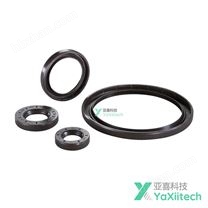 SEW油封W B1SF55x84x8/11.5-FKM