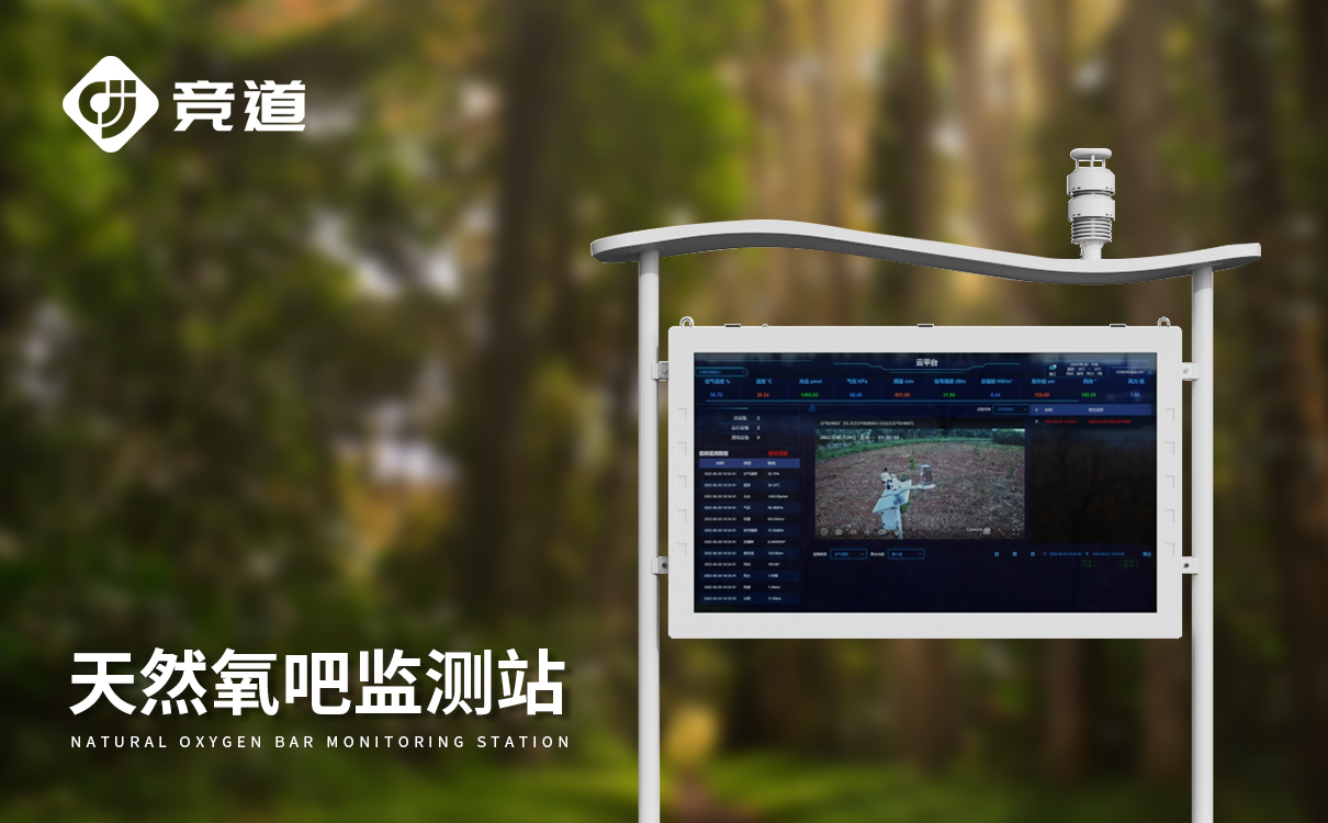 负氧离子监测系统 负氧离子监测系统